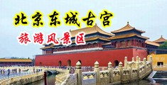 男人女人爆操逼逼视频中国北京-东城古宫旅游风景区